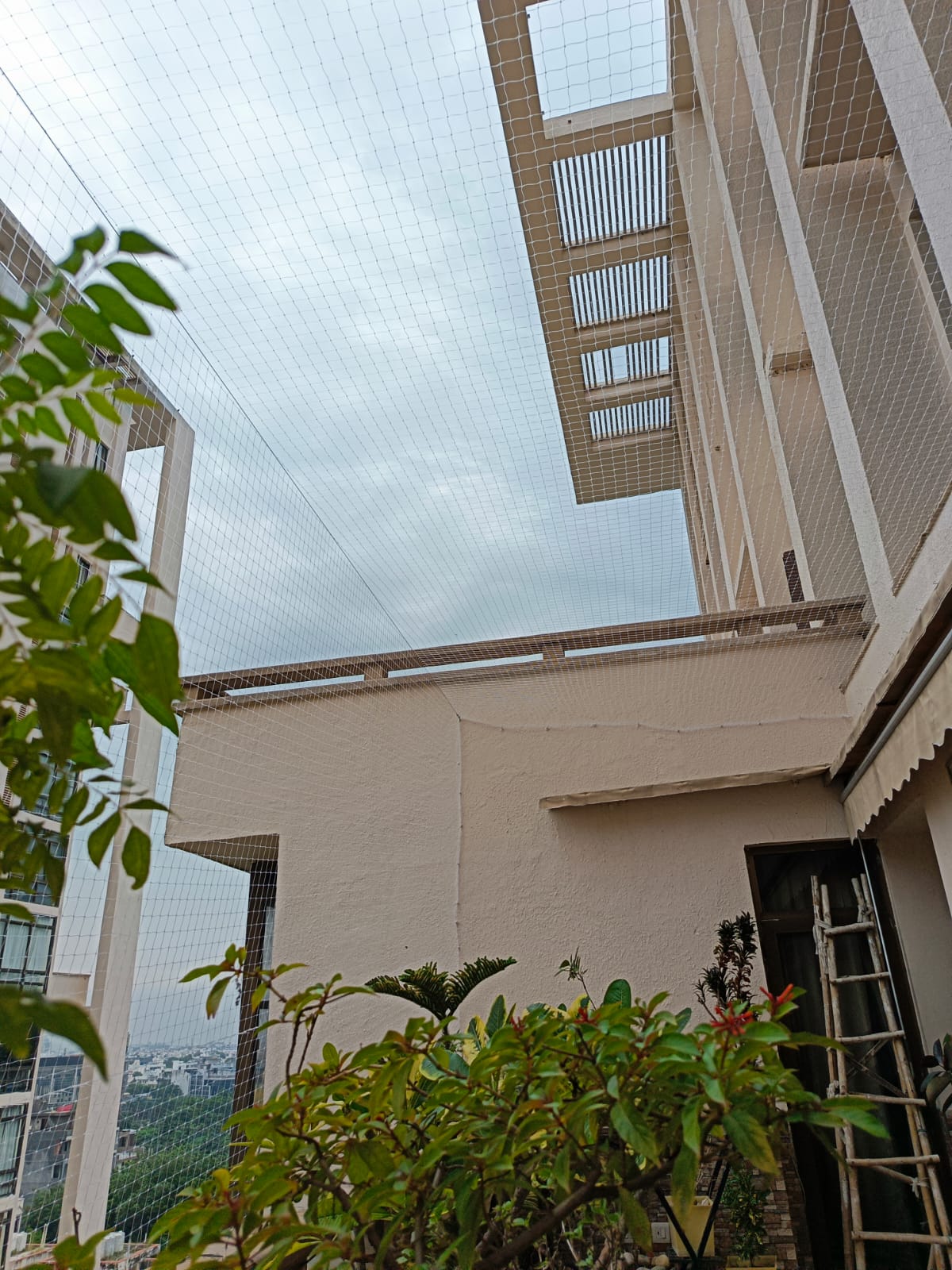 Open terrace bird netting